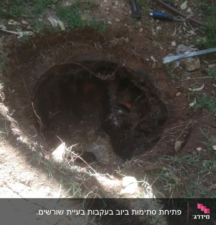 בור באדמה עם כלי עבודה לידו